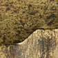 Close-up of a textured stone surface with brown and black patterns