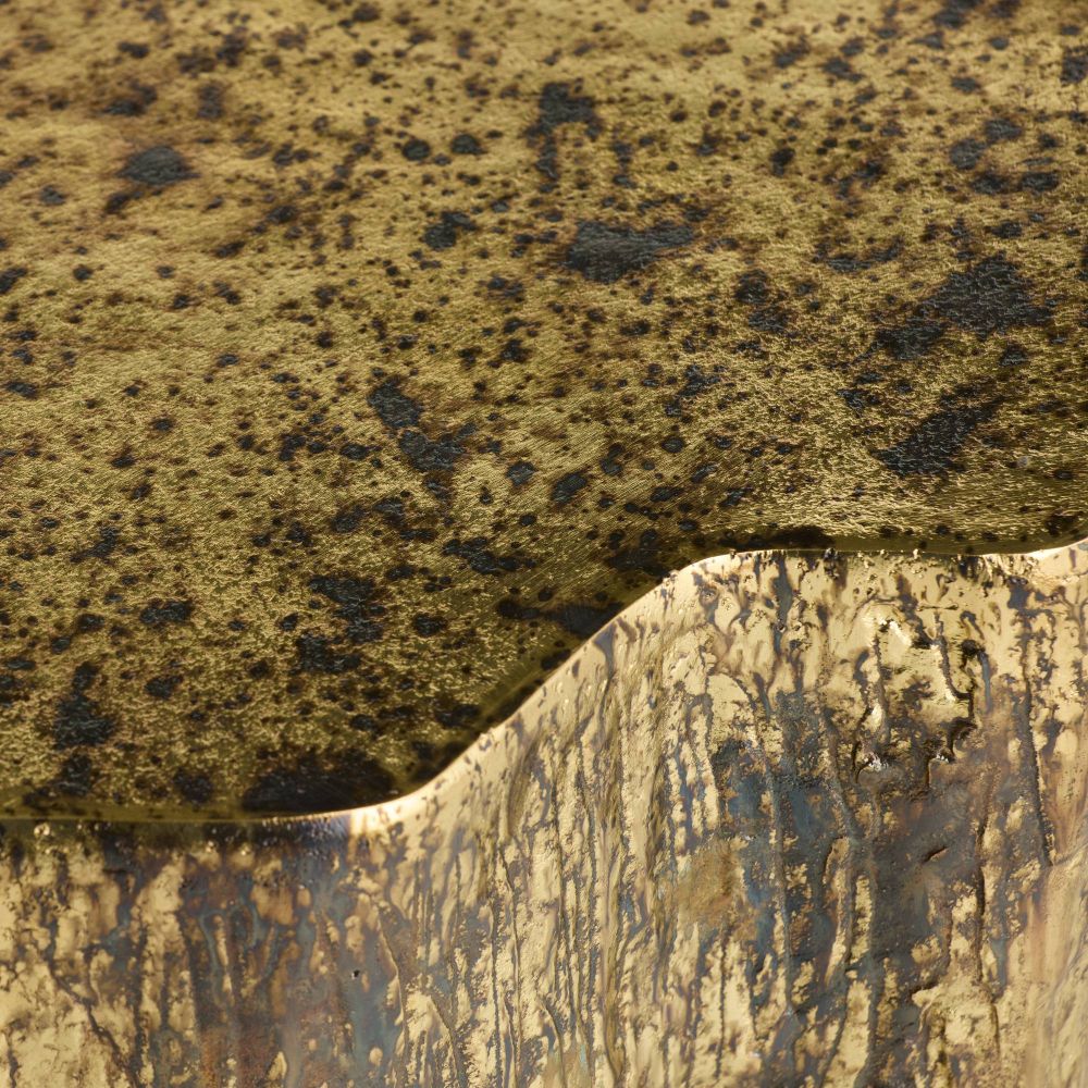 Close-up of a textured stone surface with brown and black patterns
