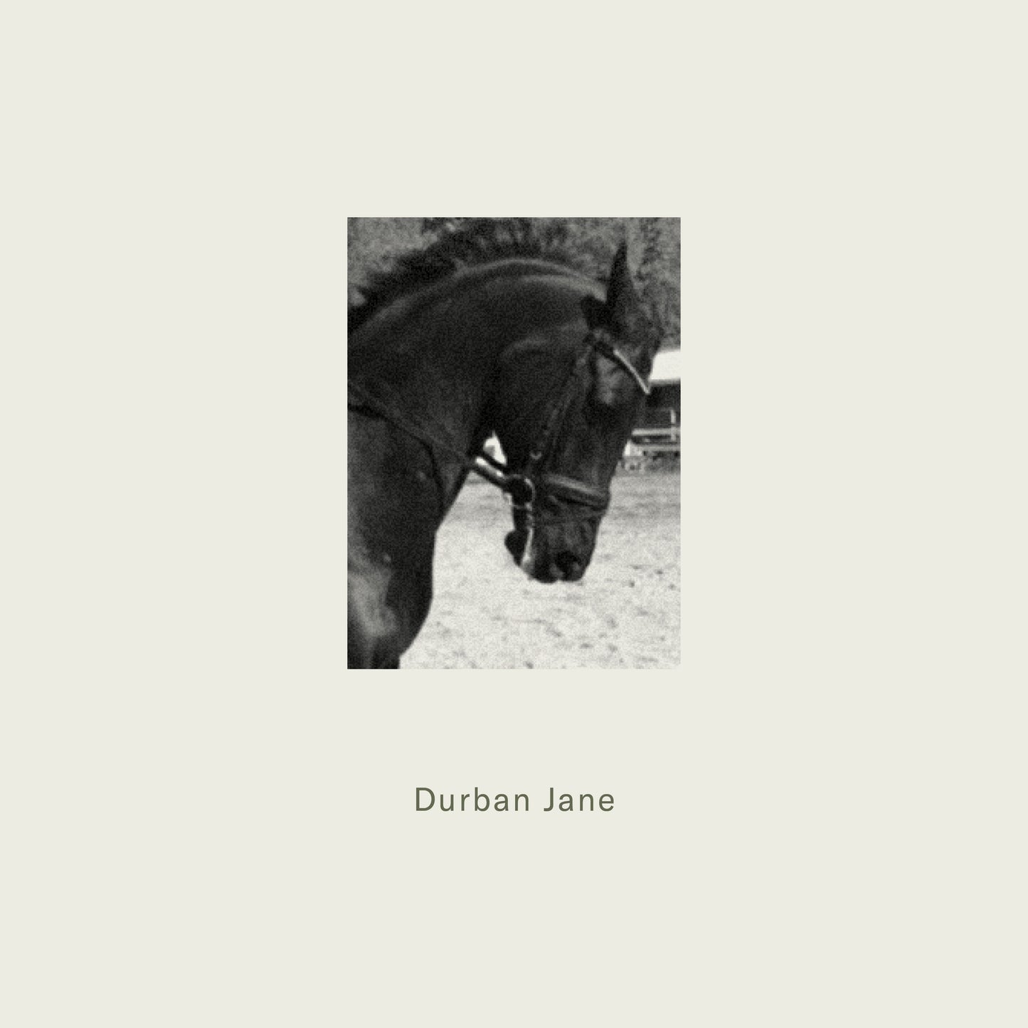Maison d'Etto Durban Jane