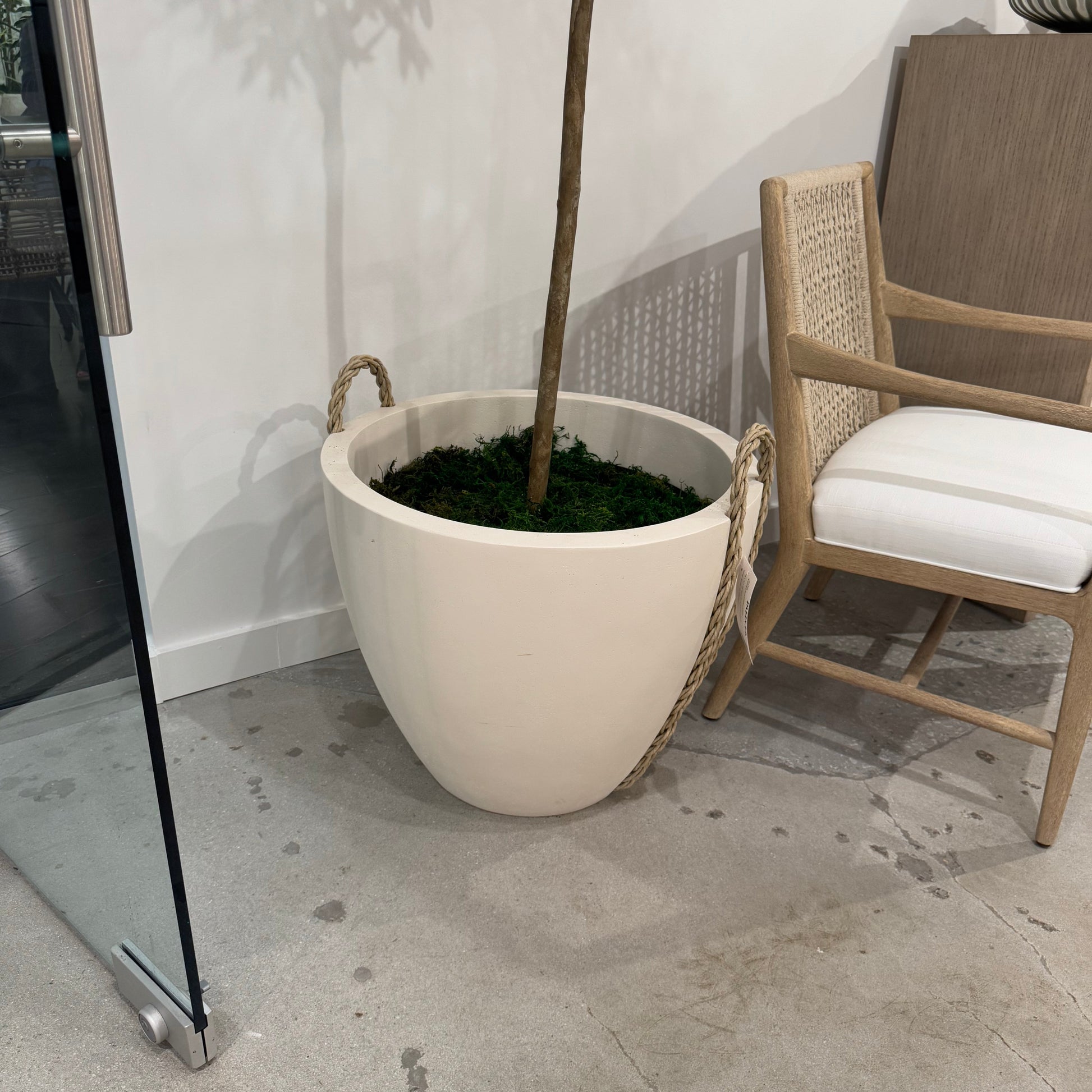 Decorative planter with a plant on a concrete surface