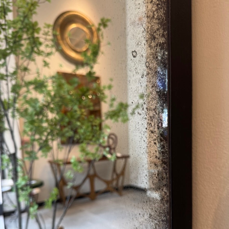 Decorative mirror with textured frame reflecting a room with plants and furniture.