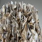 Halifax Hurricane Natural Oyster Shell