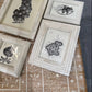 Novara Frame Natural Bone