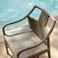 Newton Dining Chair Rattan