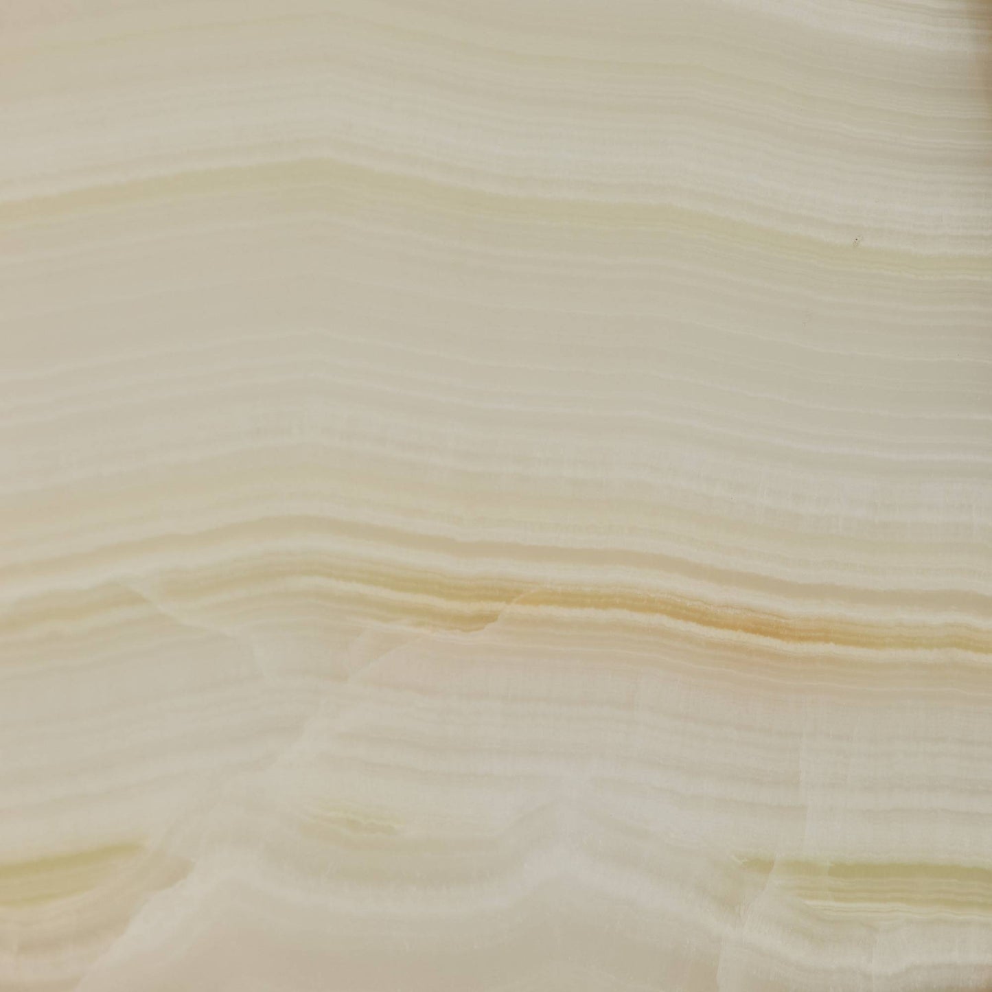 Elsa Wall Sconce Onyx