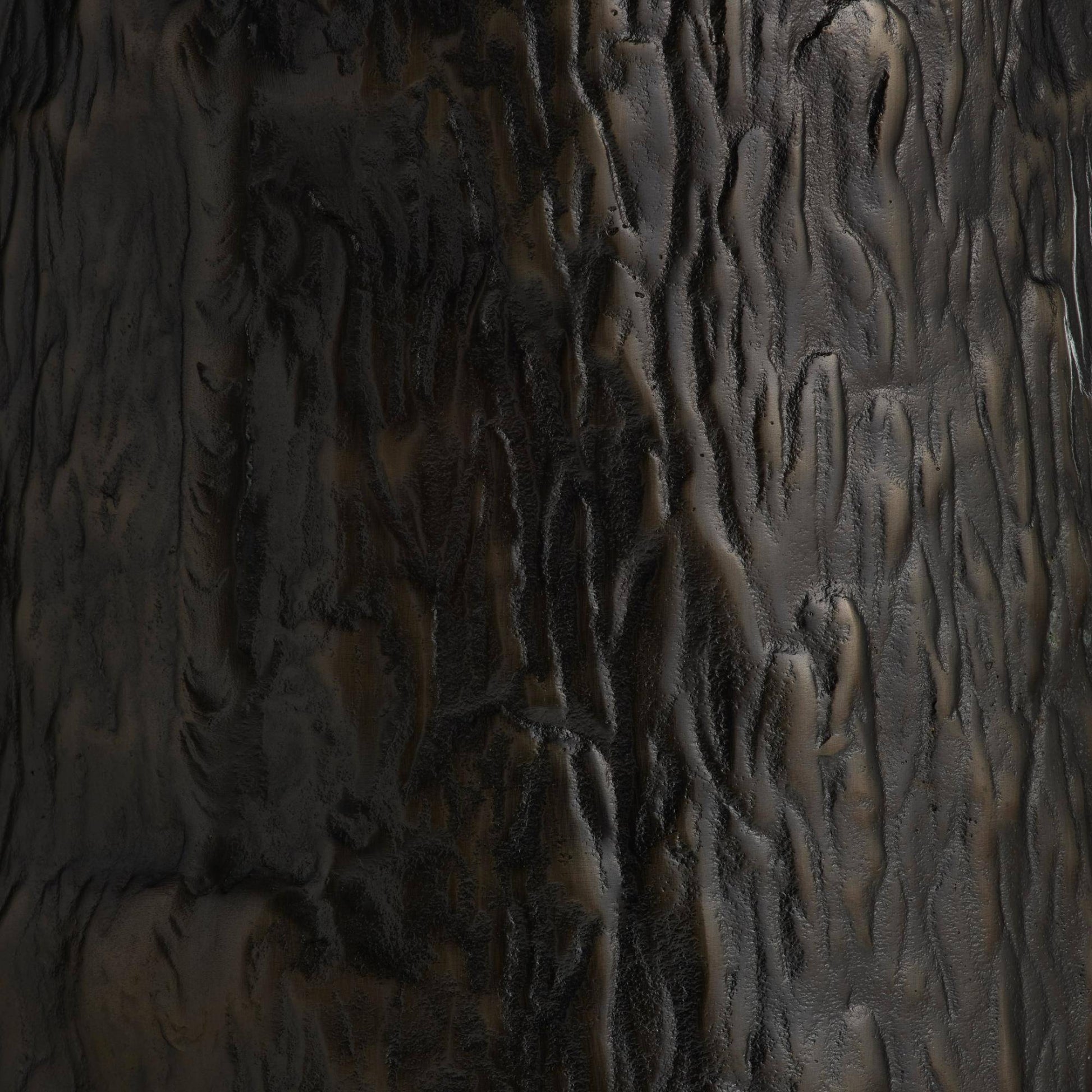Close-up of textured dark brown surface