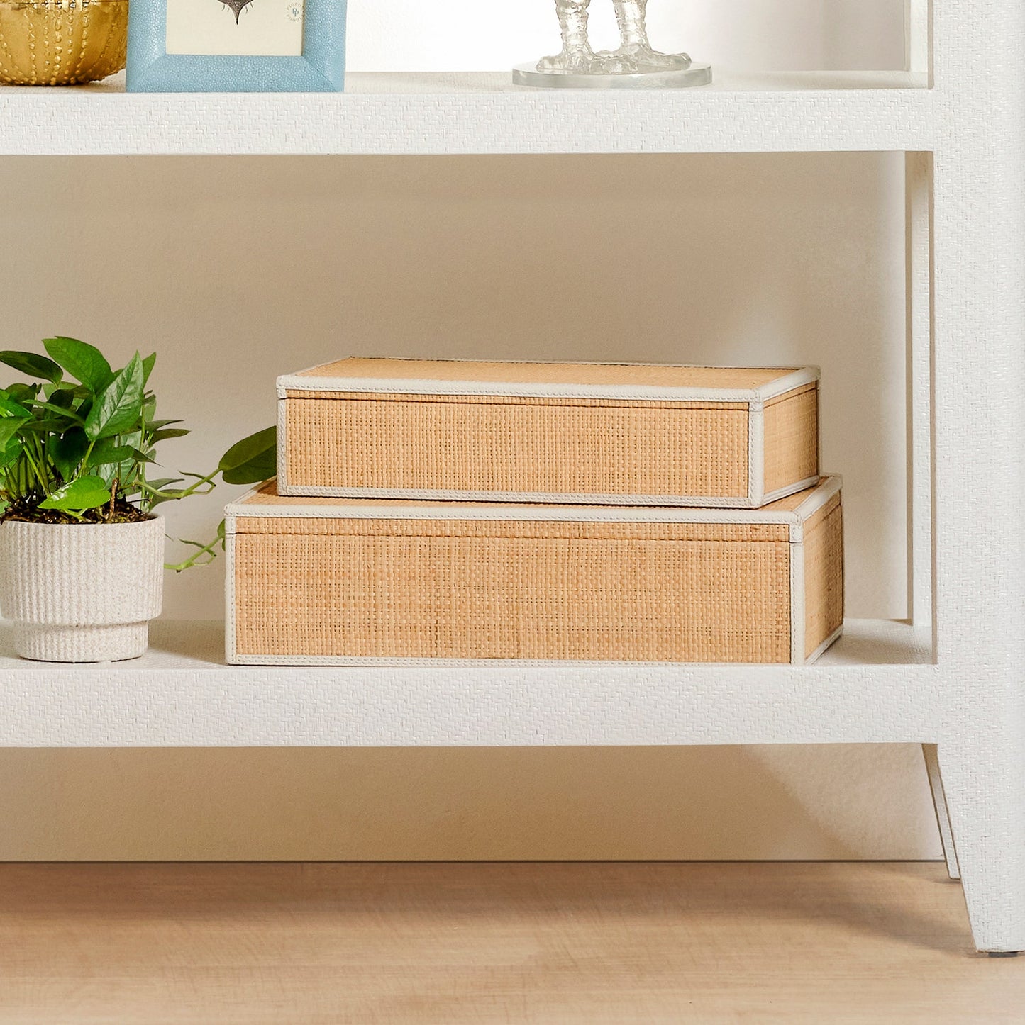 Two woven storage boxes on a white shelf with a plant beside them.