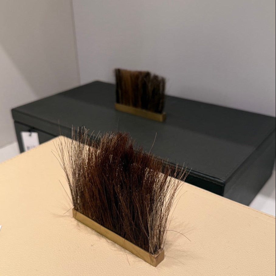 Brush with bristles on a beige surface, with a black box in the background.