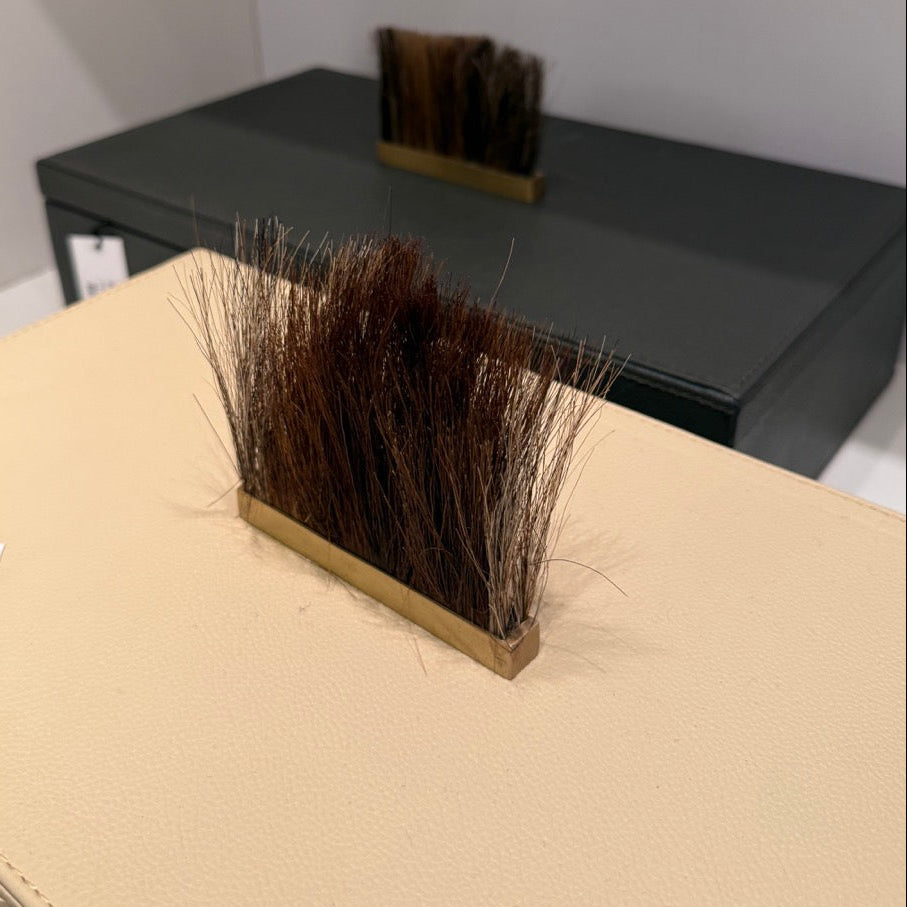 Brush with bristles on a beige surface, with a black box in the background.