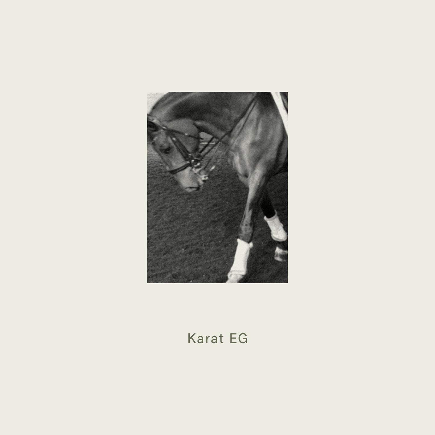 Horse with a bridle on a textured surface, branded 'Karat EG'.