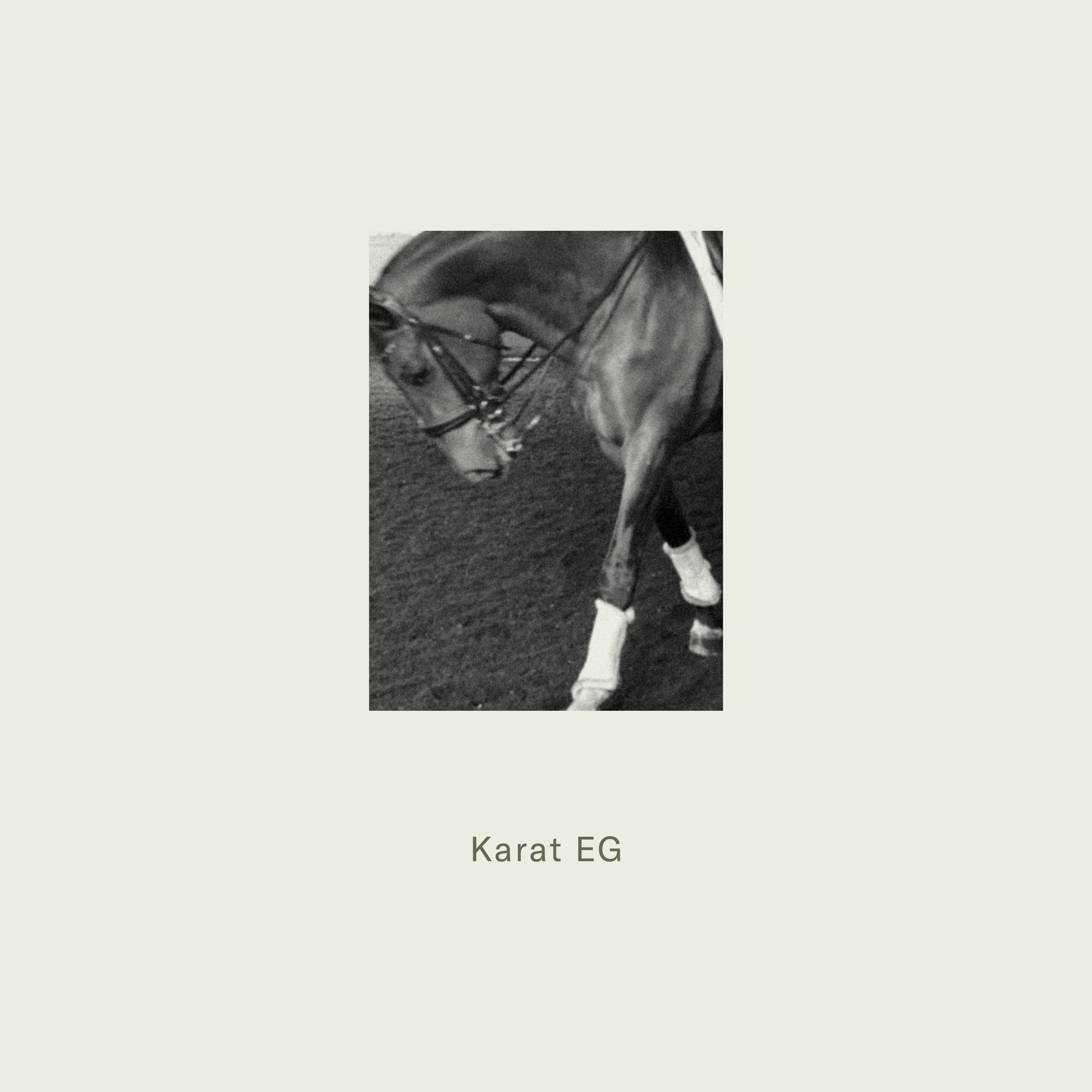 Horse with a bridle on a textured surface, branded 'Karat EG'.