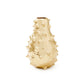 Kiwano Vase Brass