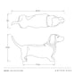 Measurement chart for a dog sculpture labeled 'Leo' by Arteriors, showing dimensions on a white background.