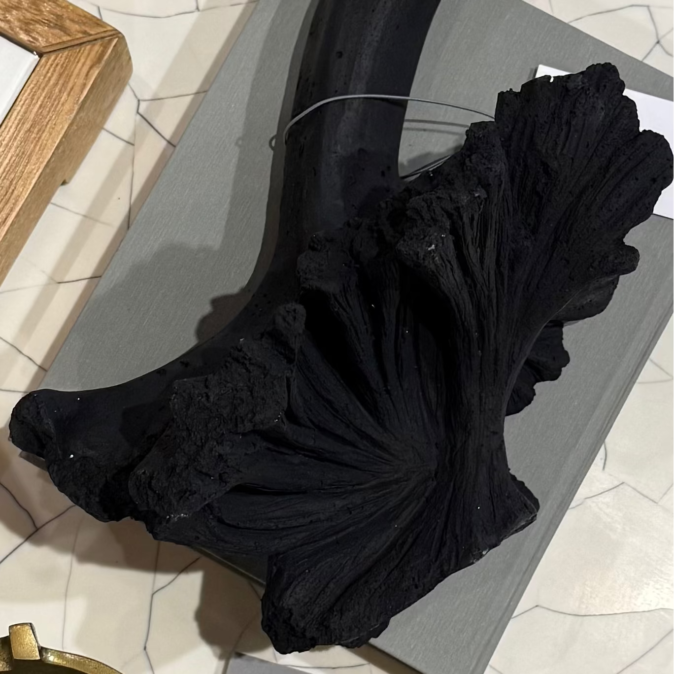 Black garment on a gray surface with a plant and Arteriors tag in the foreground.