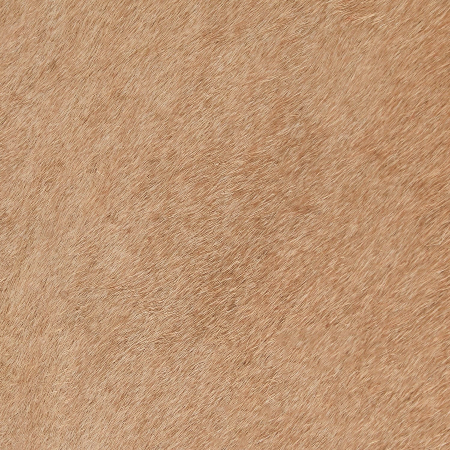 A close-up texture shot of a warm tan or light brown hair-like material, showing fine fibers and subtle tonal variation.