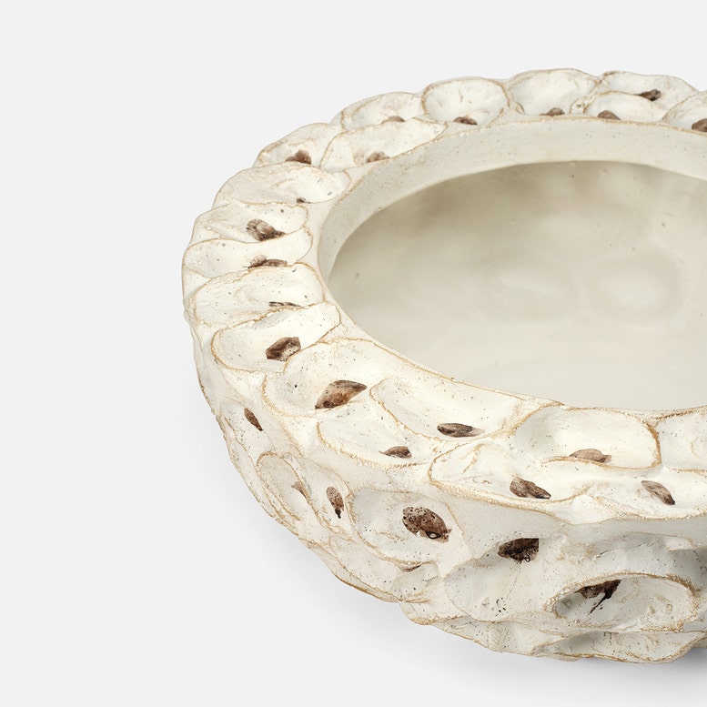 Decorative ceramic bowl with textured edge on a white background