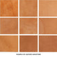 Hume Mirror Aged Camel Leather