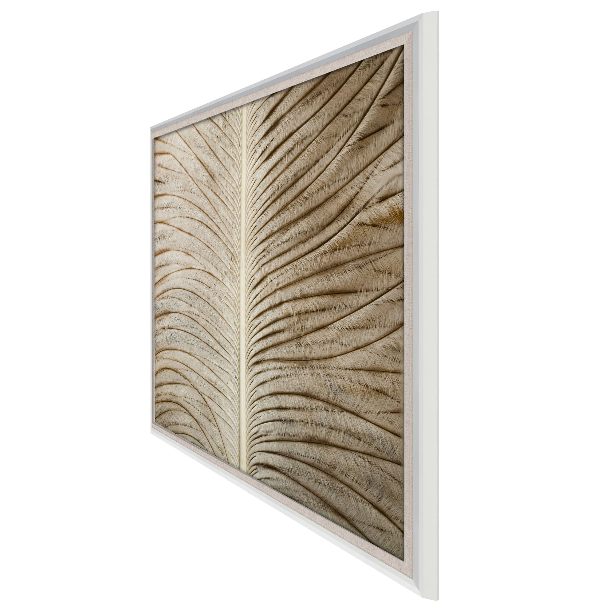 Wooden panel with wavy texture on a white background