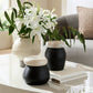 Decorative vases with white flowers on a coffee table in a living room.