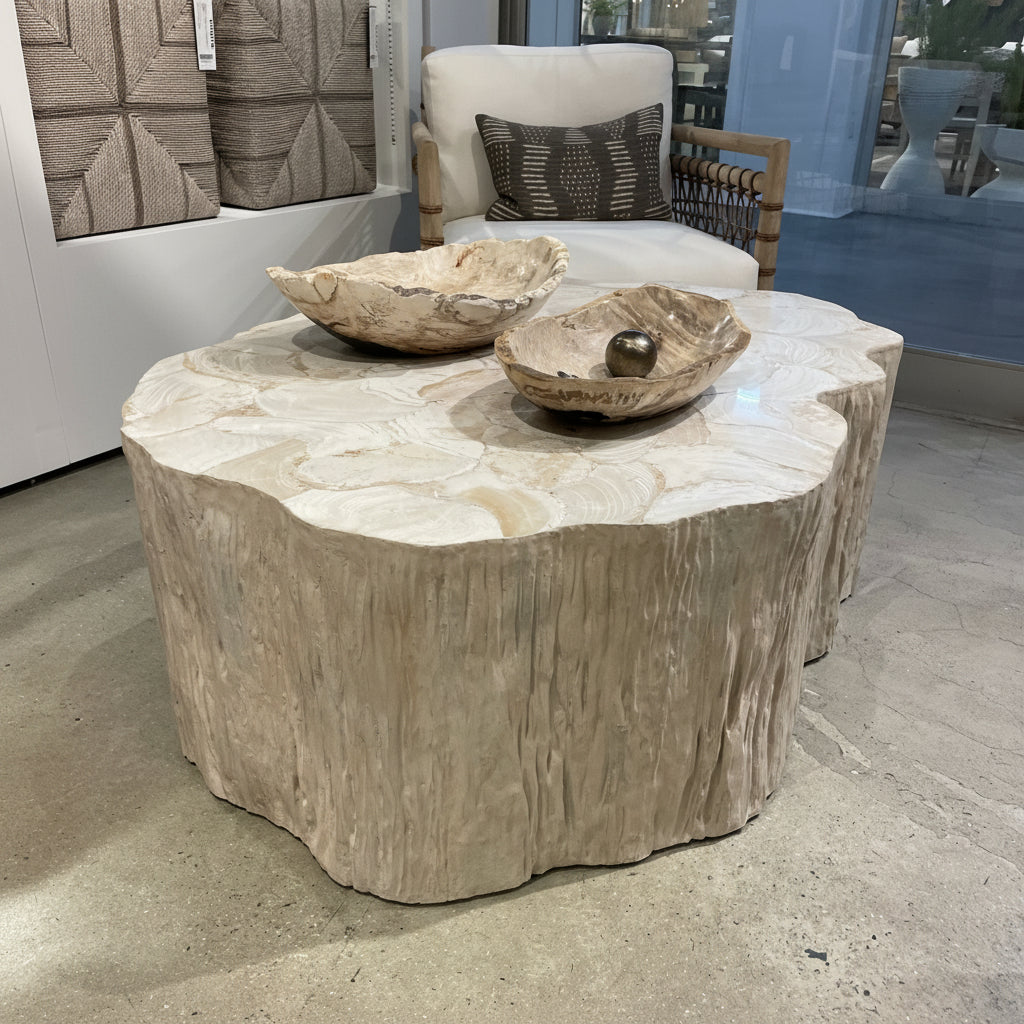 Palecek Camilla Fossilized Clam Coffee Table – CLAYTON GRAY HOME