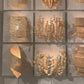 A collection of elegant, warm-toned decorative wall sconces and lamps displayed on a white tiled wall. The designs include a textured shell-like cylinder, a gold-toned crystal chandelier-style candle holder, a sculptural leafy wreath, a curved woven shell piece, and stacked woven shades, all casting a warm glow.