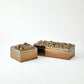 Pebbles Boxes Set Bronze