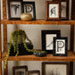 Wooden shelf with decorative items including framed pictures and a gold ornament.