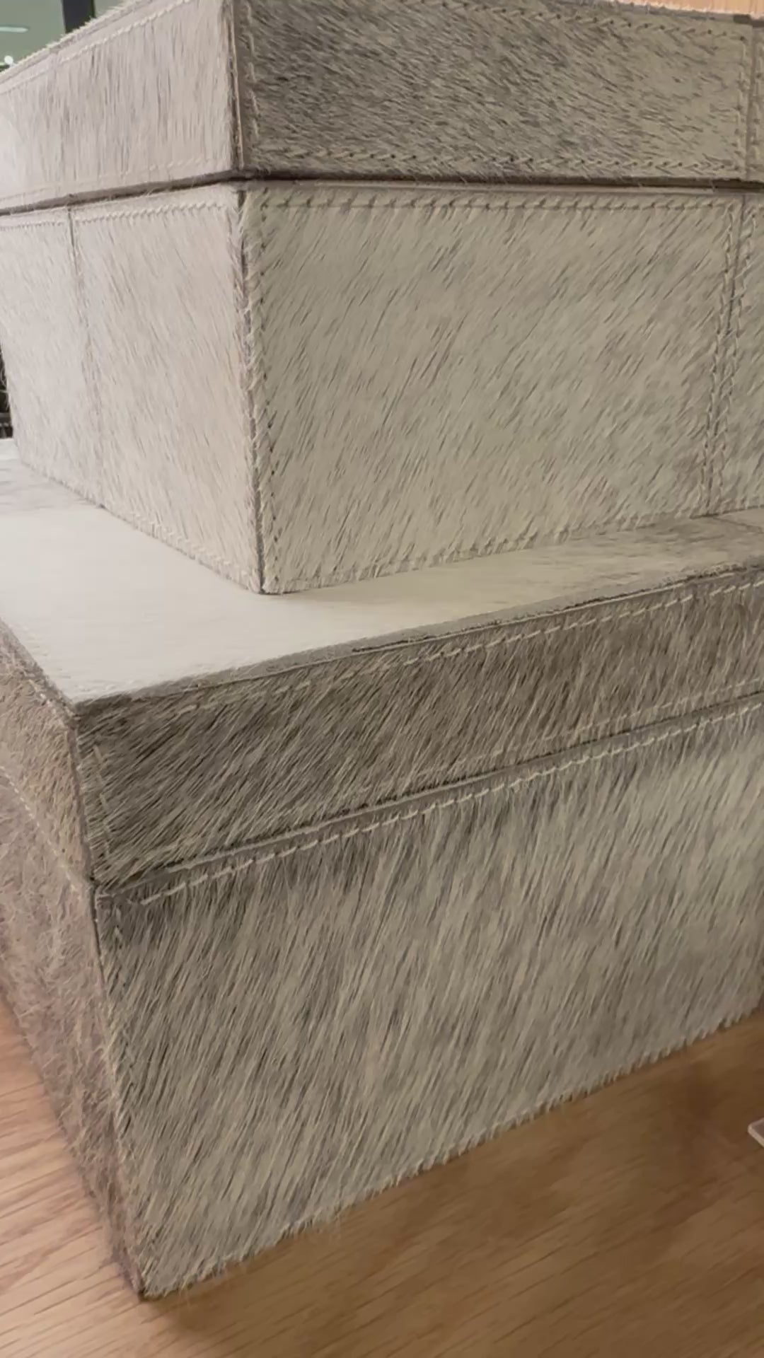 roger box set gray hair on hide