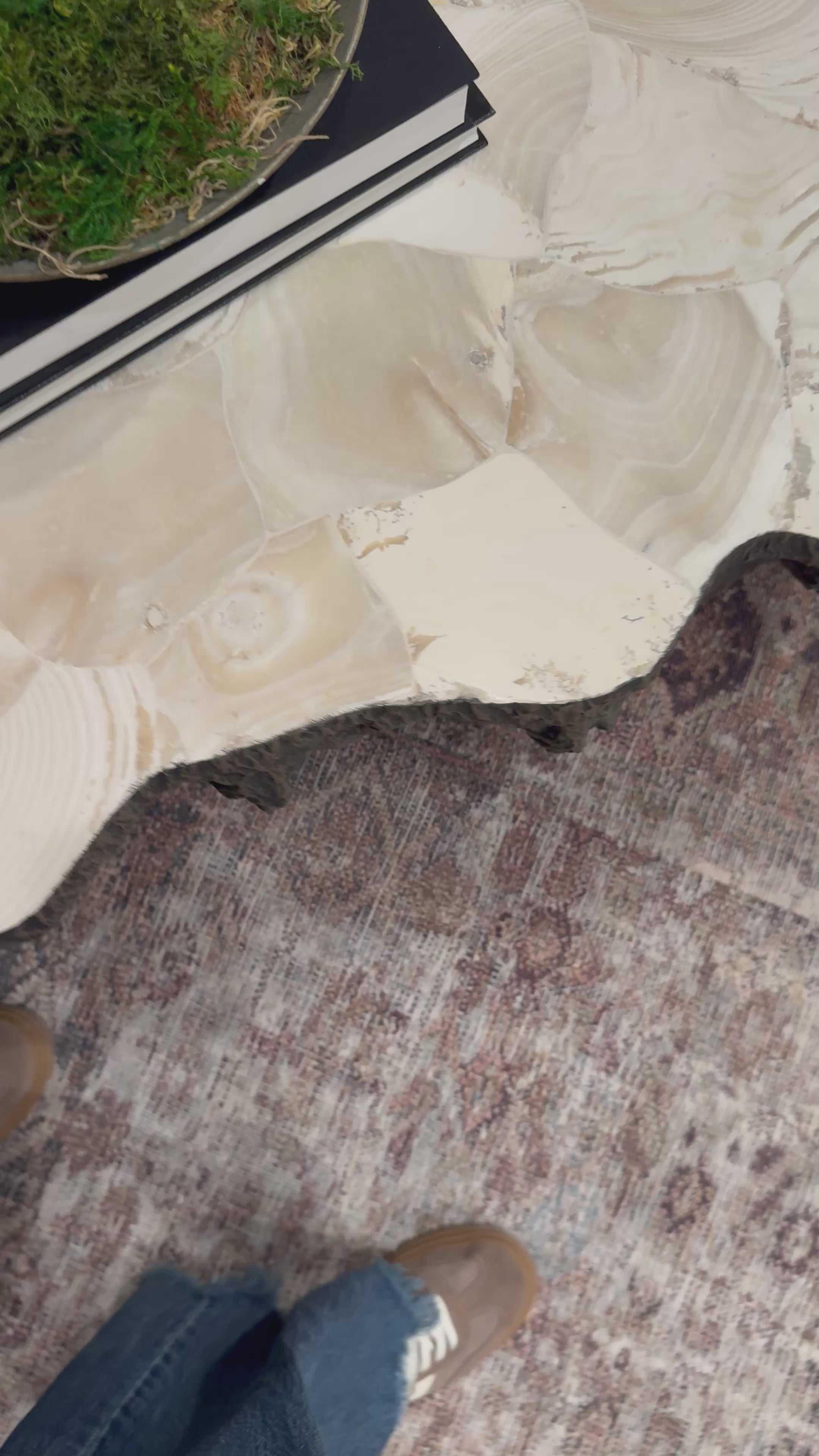 Palecek Chloe Fossilized Clam Lava Coffee Table – CLAYTON GRAY HOME