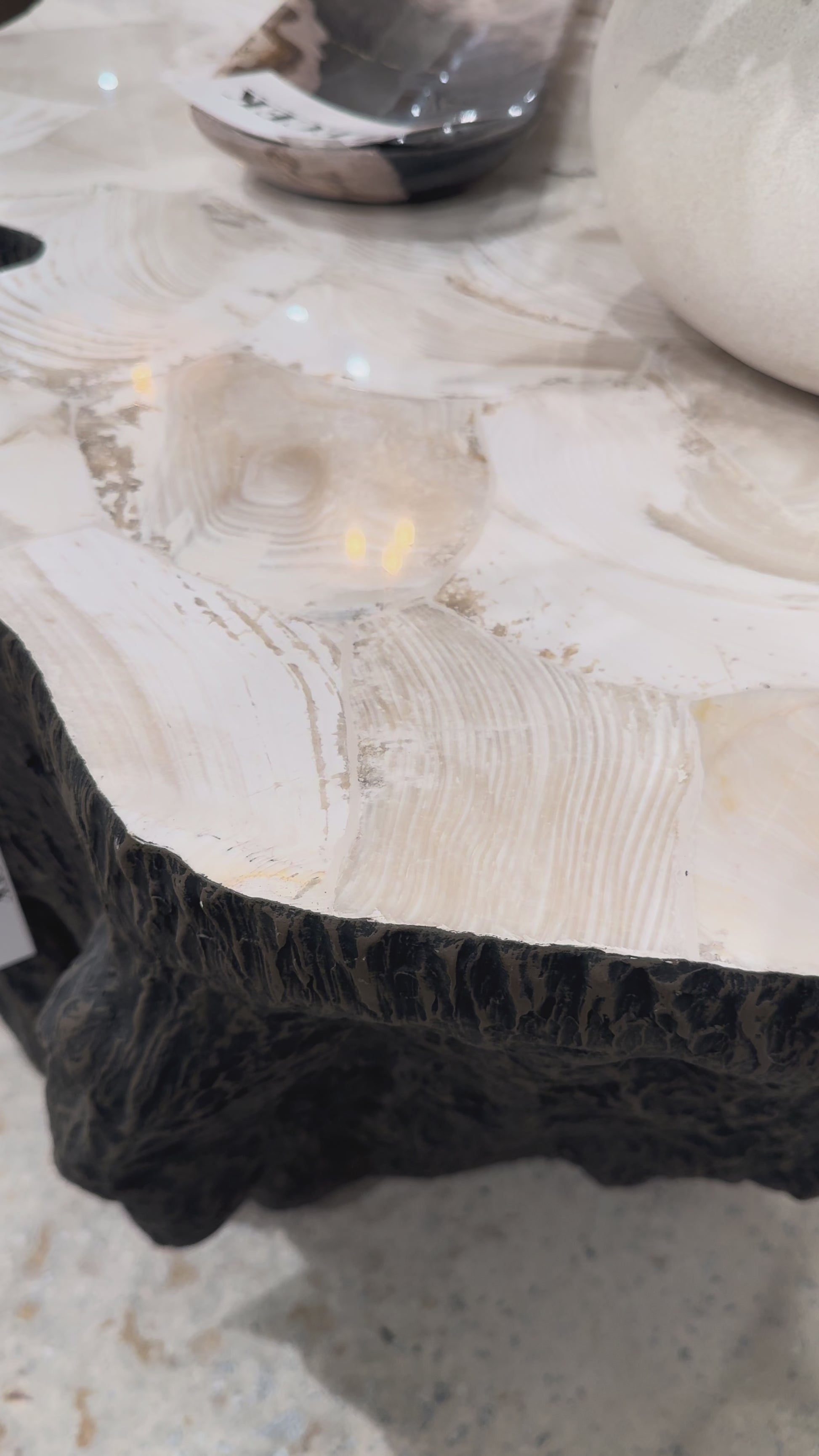 chloe fossil clam lava coffee table