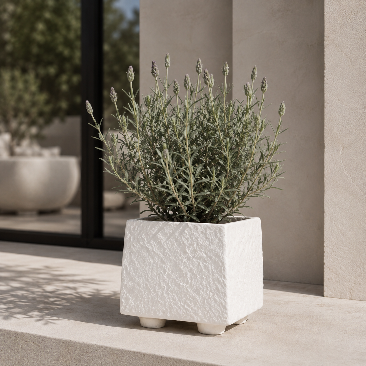 A textured white square planter with small feet, holding a green leafy plant, set on a beige stone ledge in a sunlit outdoor patio setting.