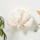 Decorative shell on a white wall with a plant and other decor items.
