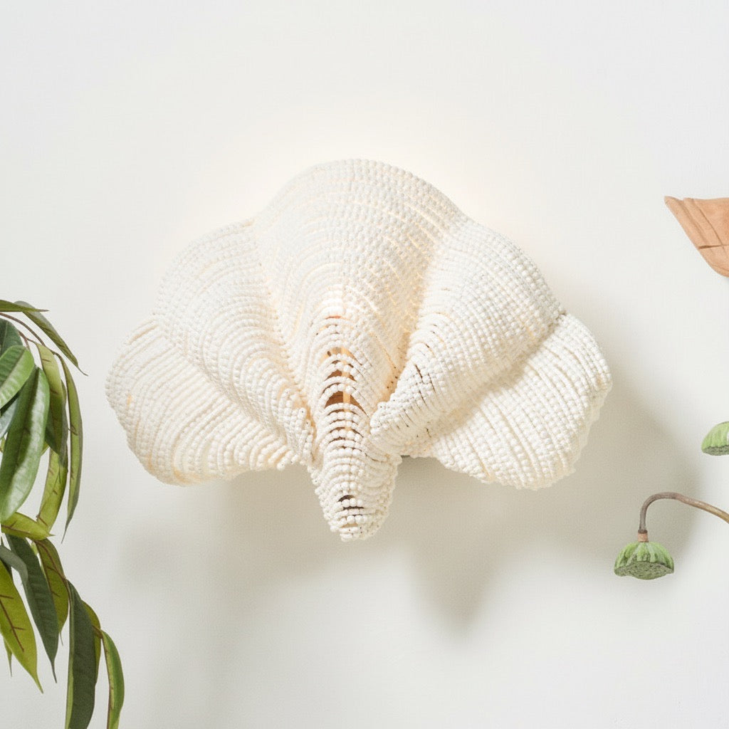 Decorative shell on a white wall with a plant and other decor items.