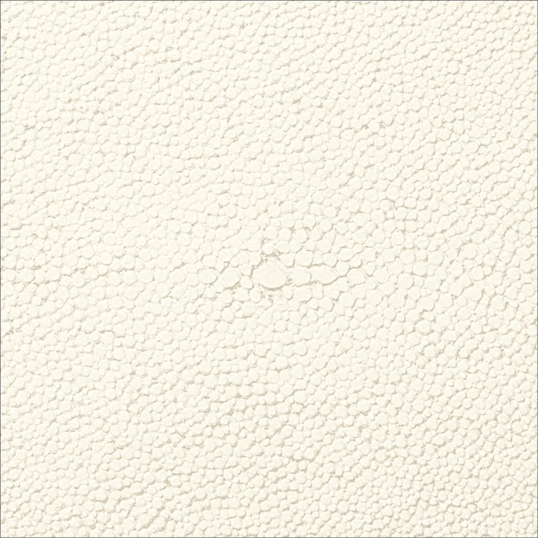 pristine faux shagreen watch