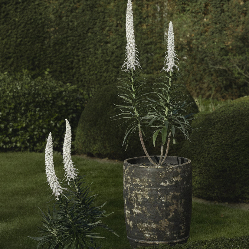 Planter Dark Brown Dune Large