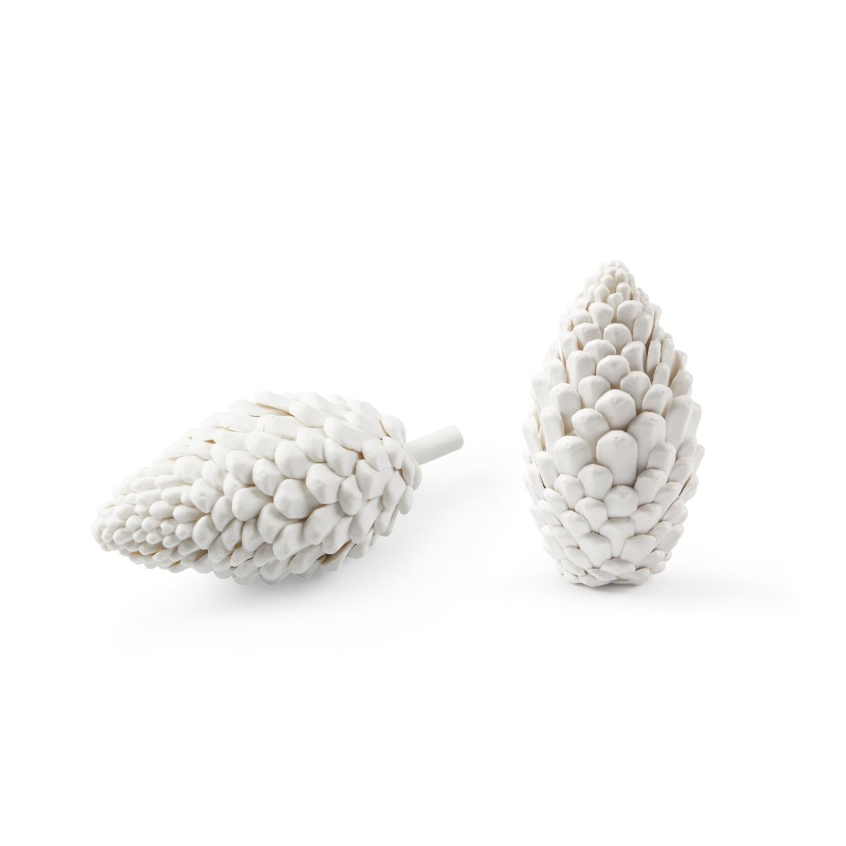 villa and house pine cone laying blanc