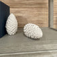 villa and house pine cone laying market photo