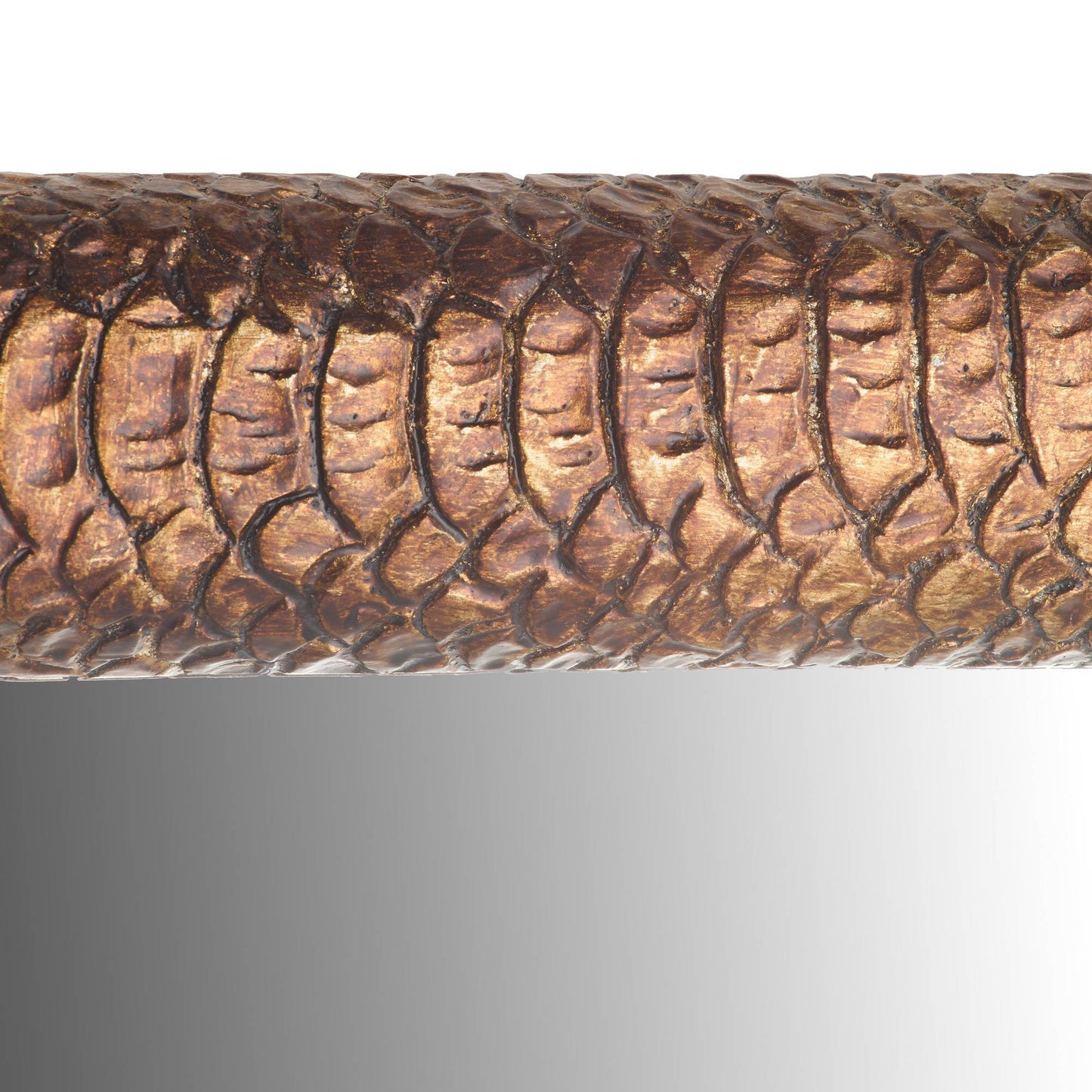 Close-up of a snake's textured skin on a white background