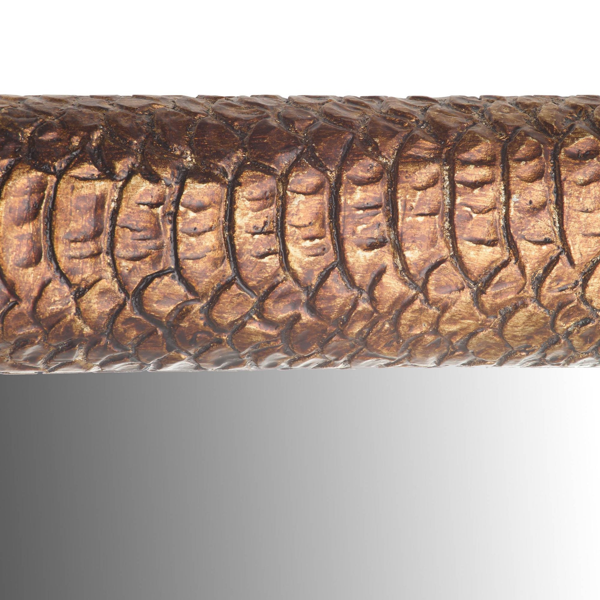 Close-up of a snake's textured skin on a white background