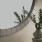 Decorative stone shelf with a plant on a neutral background