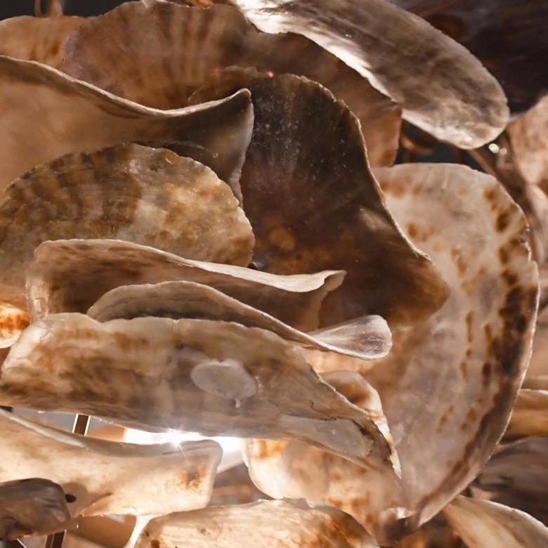 Made Goods Venus Chandelier Natural Saddle Oyster Shell Detail