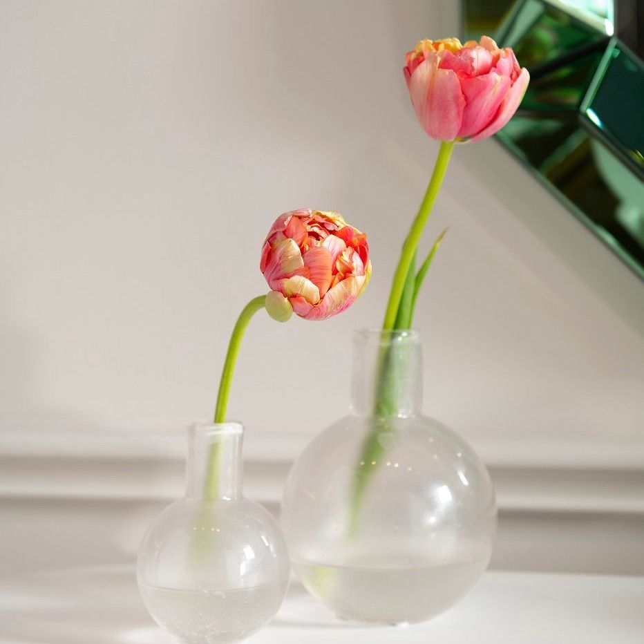 bungalow 5 giorgio vase clear styled