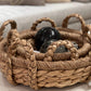 Bram Objects Dark Petrified Wood in basket