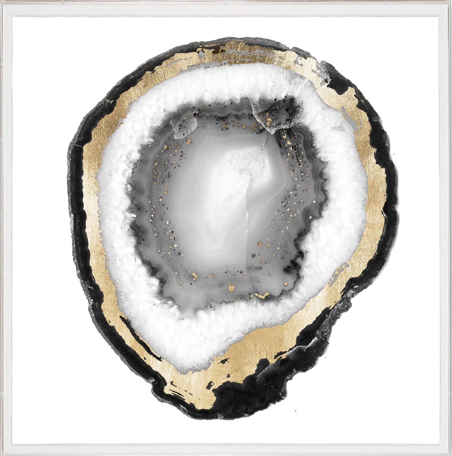 Natural Curiosities Black and White Geode 1 Artwork