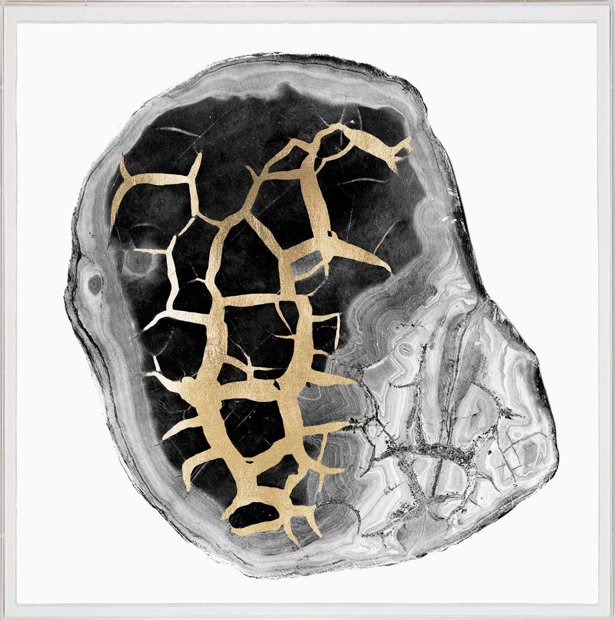 Natural Curiosities Black and White Geode 2 Artwork