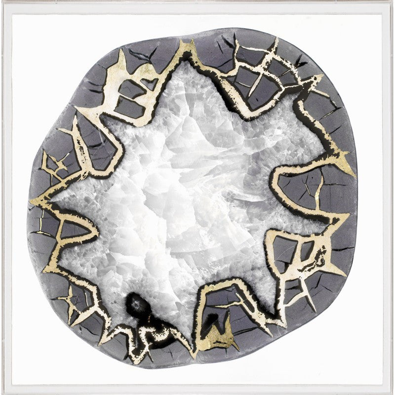 Natural Curiosities Black and White Geode 4 Artwork