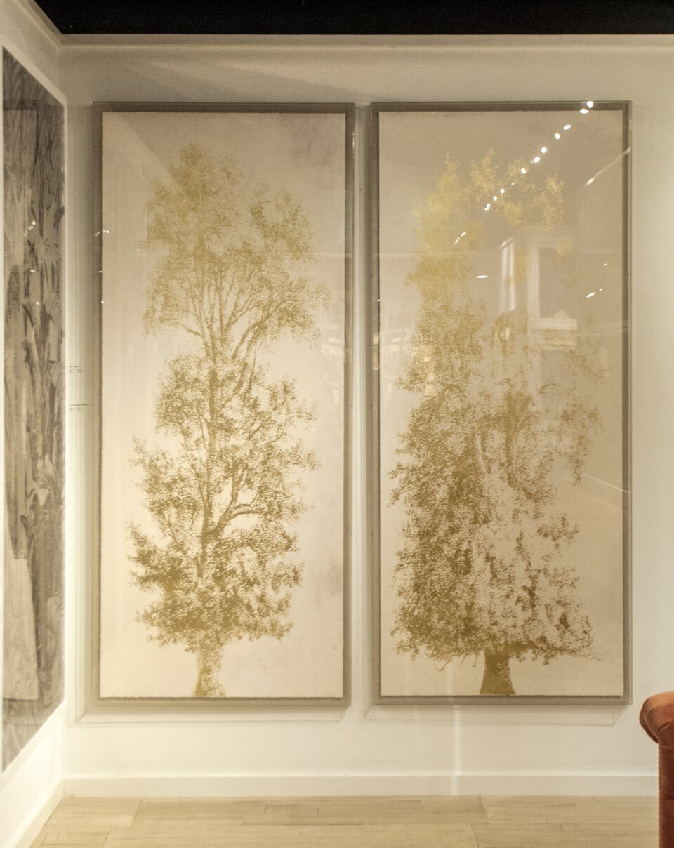 natural curiosities strutt trees artwork showroom