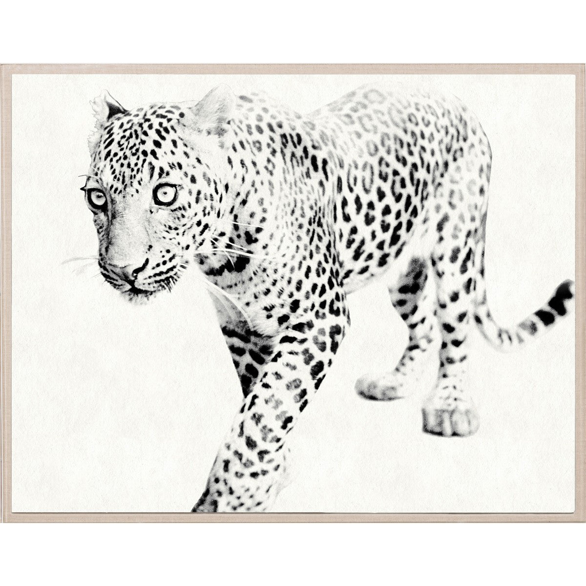 Natural Curiosities Tylinek Leopard Artwork