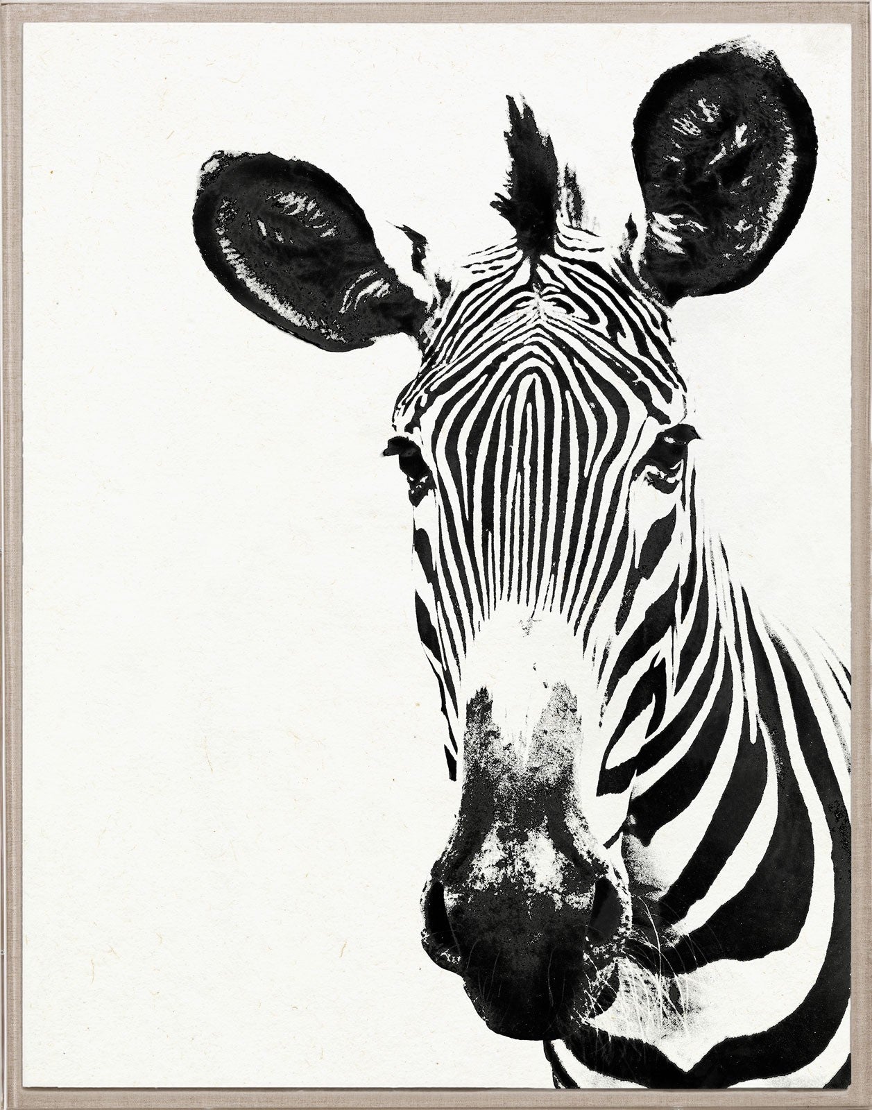 Natural Curiosities Tylinek Zebra Artwork