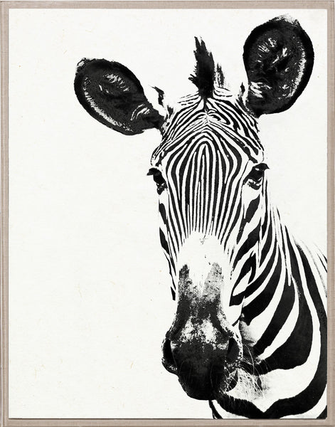 natural-curiosities-tylinek-